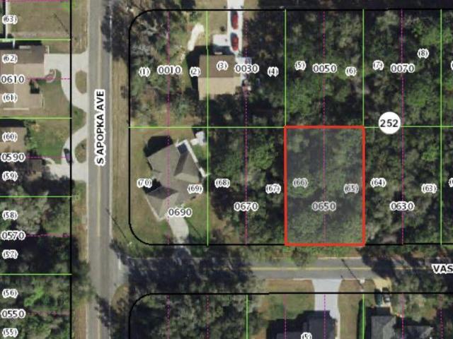Land for sale in Inverness, Florida