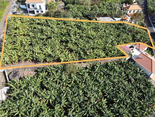 Terreno venda em Girão, Estreito Da Calheta
