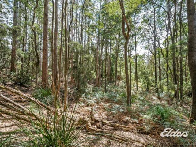 Land for sale in Alcomie, Irishtown