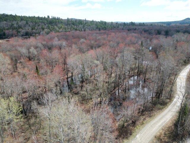 Land for sale in Island Falls, Maine