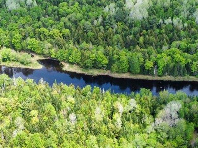 Land for sale in Island Falls, Maine