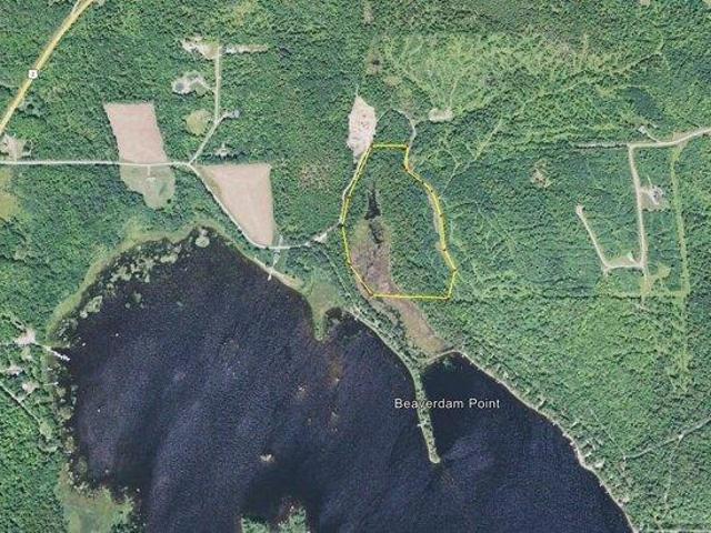 Land for sale in Island Falls, Maine