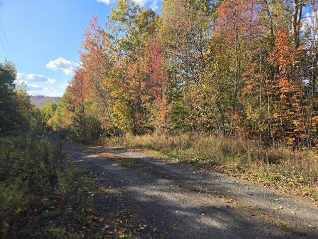 Land for sale in Island Falls, Maine