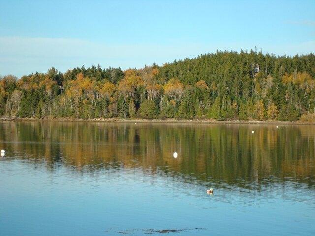 Land for sale in Waldo, Maine