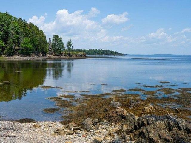 Land for sale in Waldo, Maine