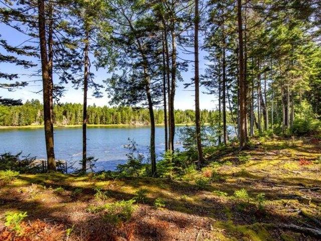 Land for sale in Waldo, Maine
