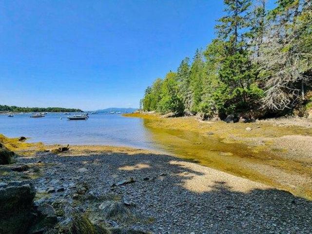 Land for sale in Waldo, Maine