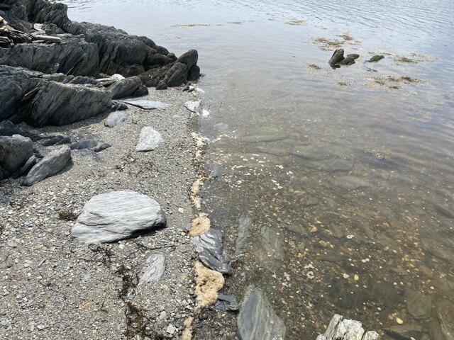 Land for sale in Waldo, Maine