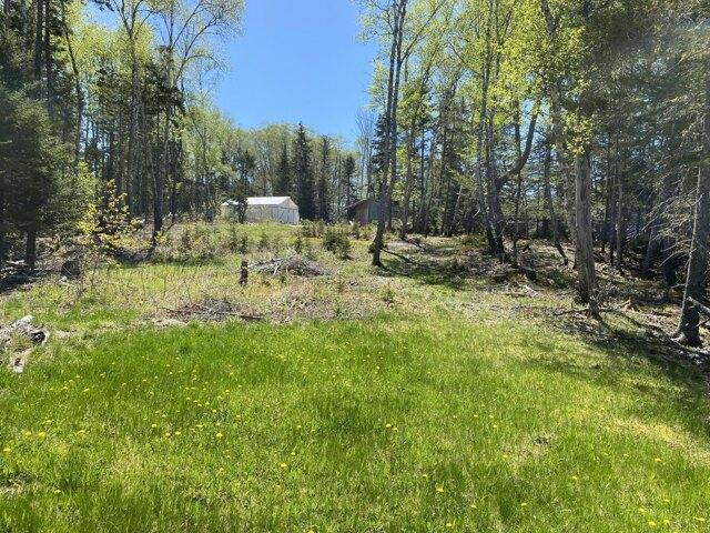 Land for sale in Pripet, Islesboro