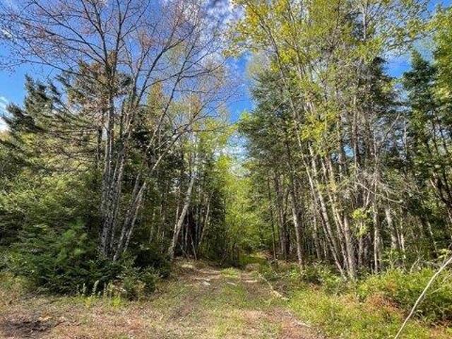 Land for sale in Jackman, Maine