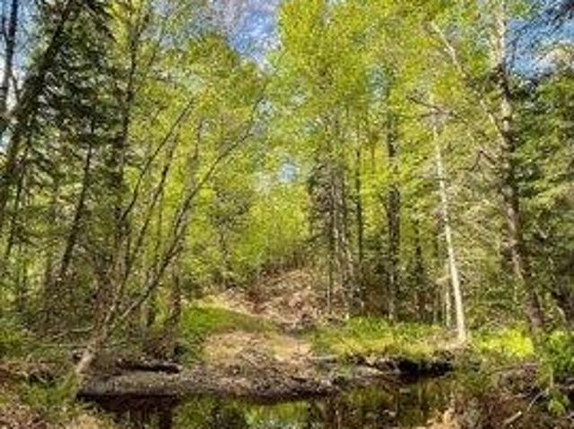 Land for sale in Jackman, Maine