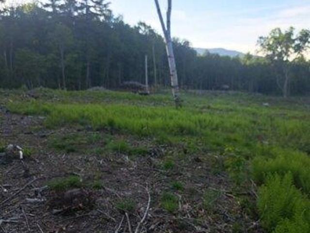 Land for sale in New Hampshire