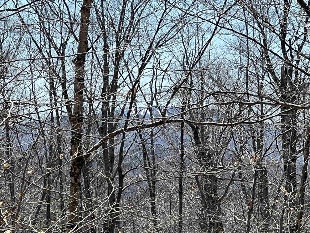 Land for sale in Jamaica, Vermont