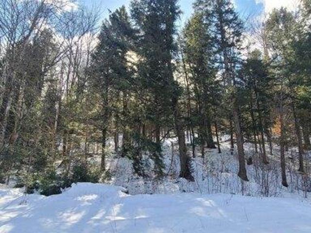 Land for sale in Jamaica, Vermont