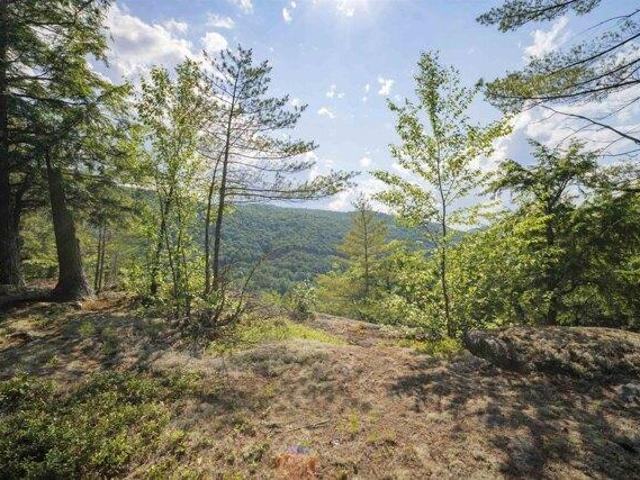 Land for sale in Jamaica, Vermont