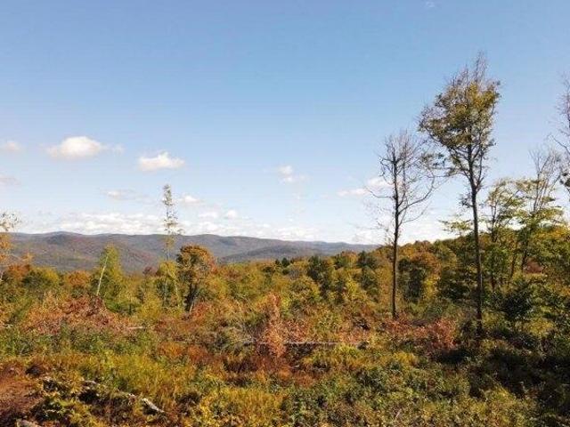 Land for sale in Jamaica, Vermont