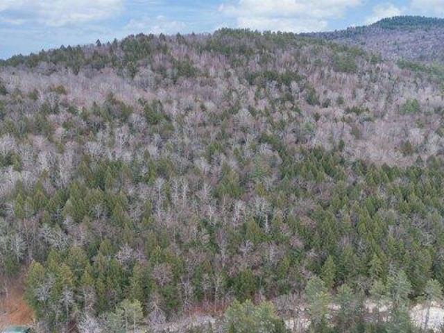 Land for sale in Jamaica, Vermont