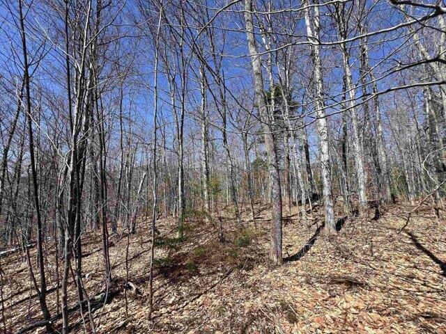 Land for sale in Jamaica, Vermont