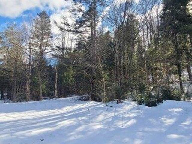 Land for sale in Jamaica, Vermont