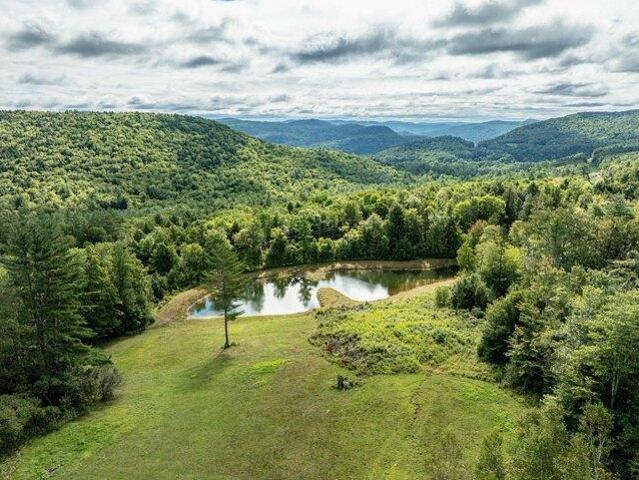 Land for sale in Jamaica, Vermont
