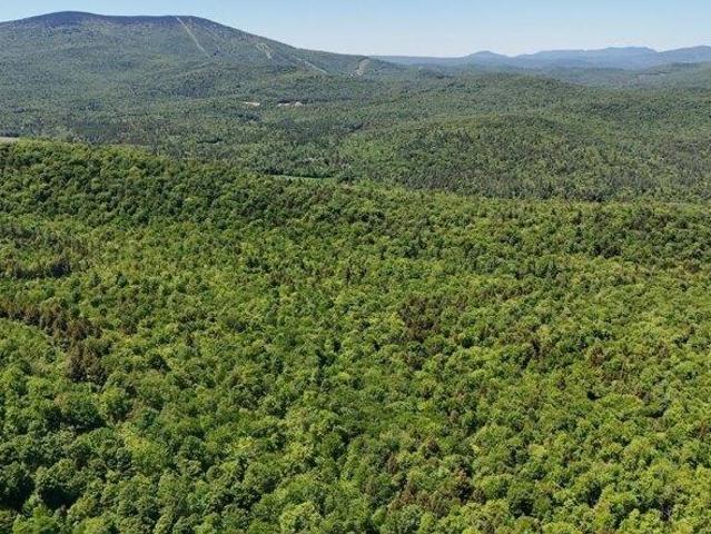Land for sale in Jamaica, Vermont