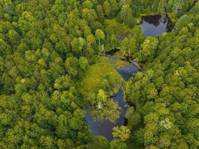Land for sale in Chester, Vermont