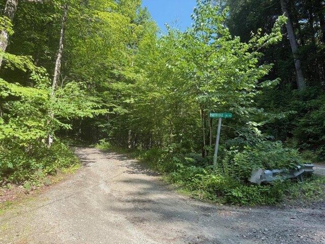 Land for sale in Jamaica, Vermont