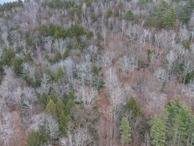 Land for sale in Jamaica, Vermont