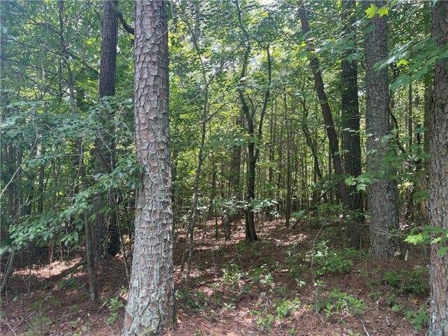 Land for sale in Pickens, Georgia