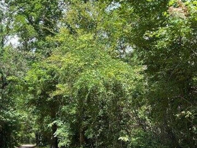 Land for sale in Jasper