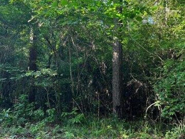 Land for sale in Jasper