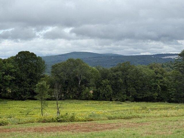 Land for sale in Jay, Maine