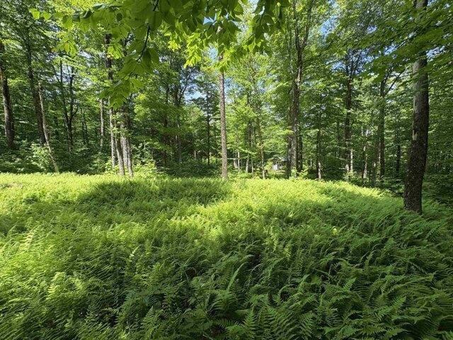 Land for sale in Vermont