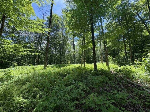 Land for sale in Vermont