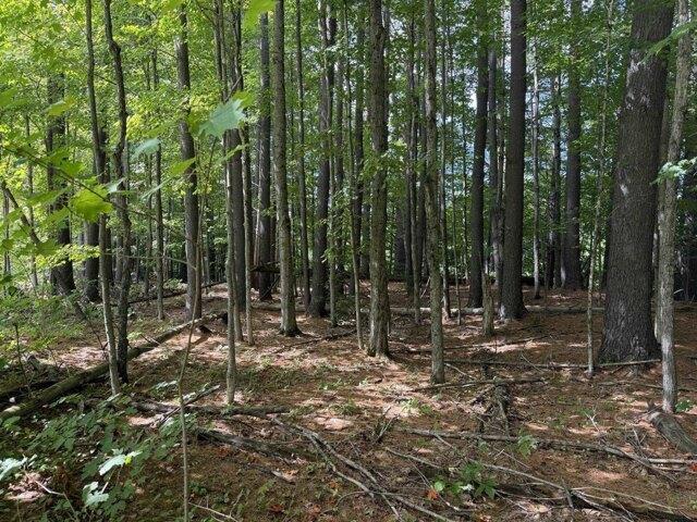 Land for sale in Vermont