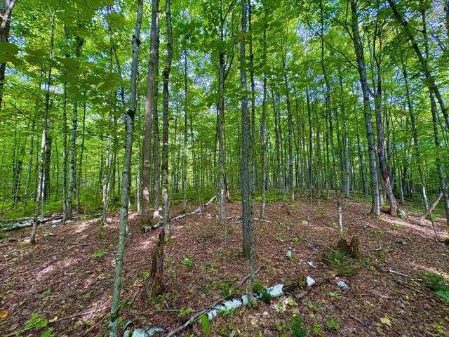 Land for sale in Jay, Orleans County