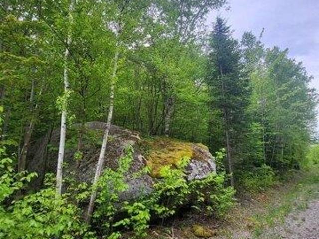 Land for sale in New Hampshire