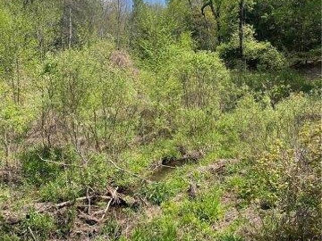 Land for sale in Jefferson, New York