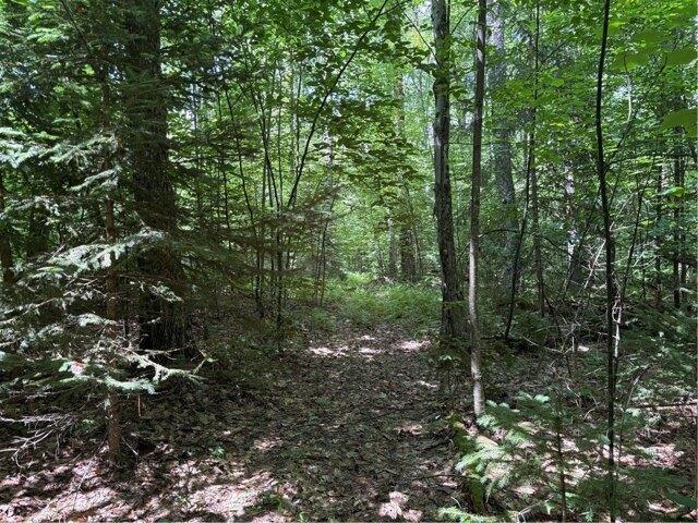 Land for sale in Jefferson, New York