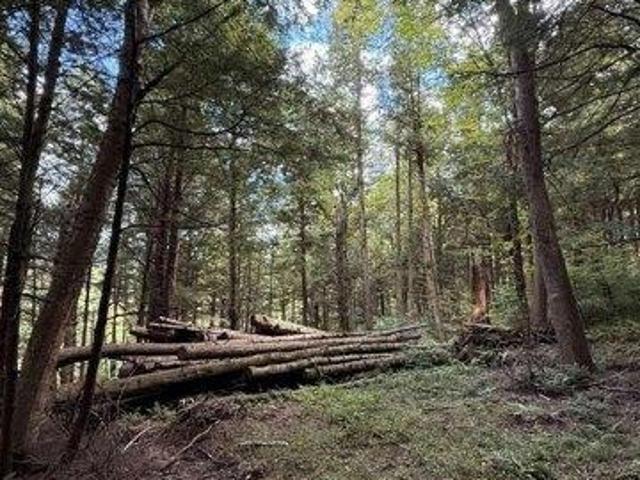 Land for sale in Jericho, Vermont
