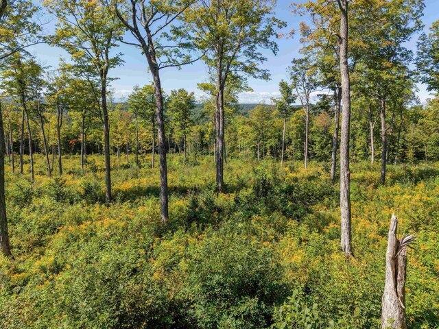 Land for sale in Jericho, Chittenden County
