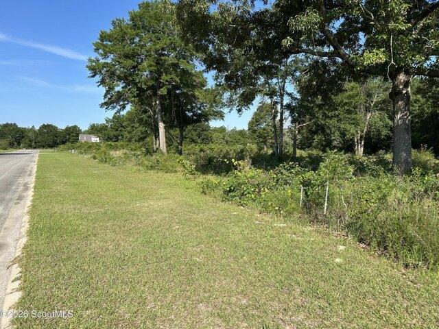 Land for sale in Jesup, Georgia
