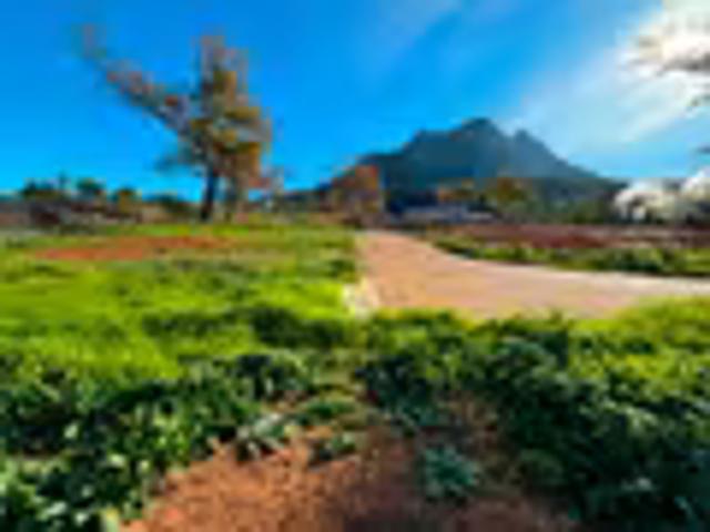 Land for sale
