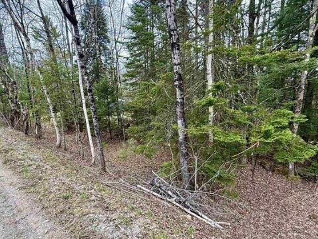 Land for sale in Johnson, Vermont