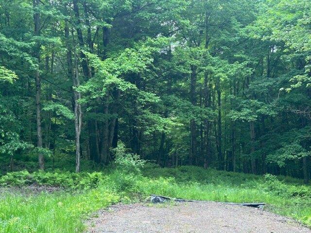 Land for sale in Johnson, Vermont
