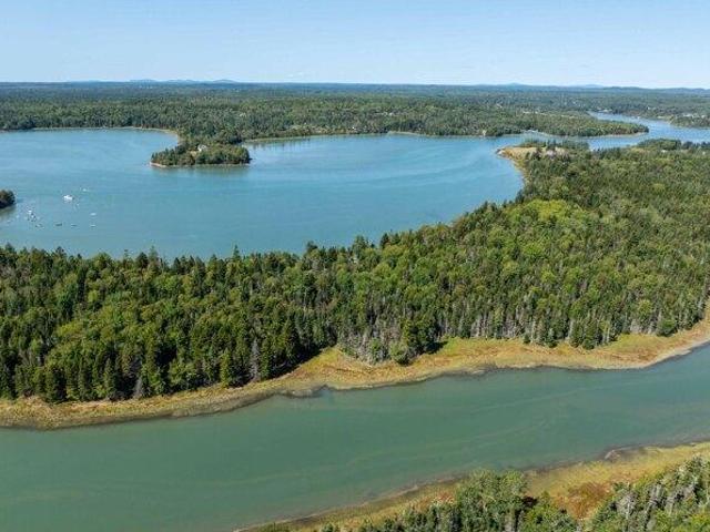 Land for sale in Jonesboro, Maine