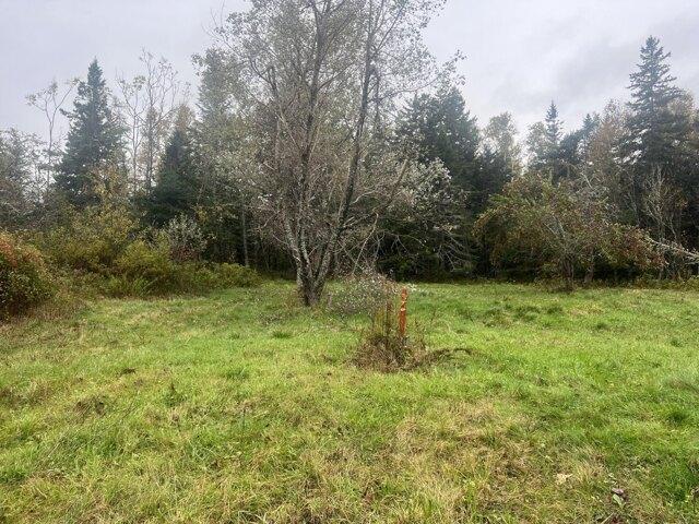 Land for sale in Jonesboro, Washington County