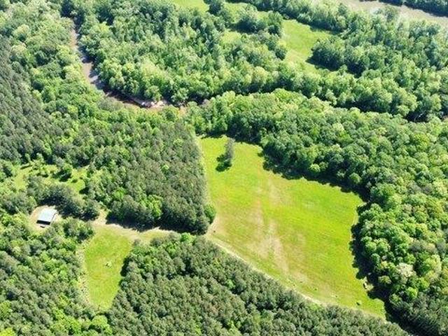 Land for sale in Juliette, Georgia