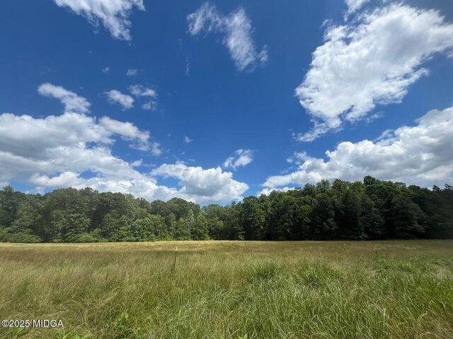 Land for sale in Juliette, Georgia