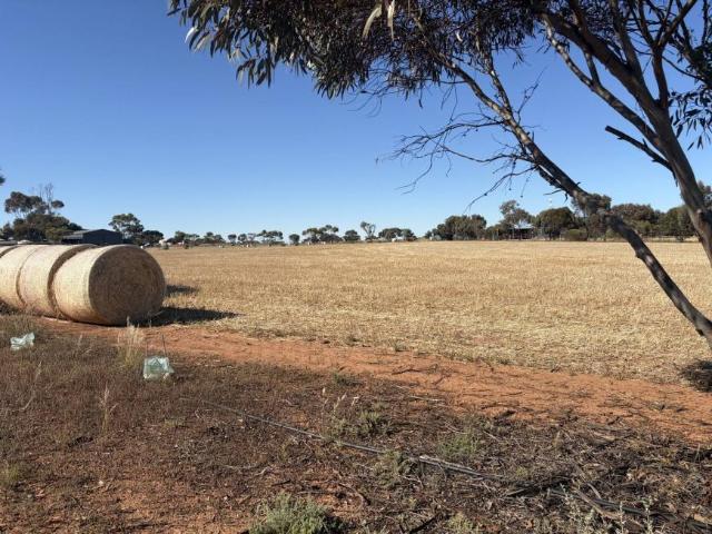 Land for sale in Kadina, Copper Coast Council